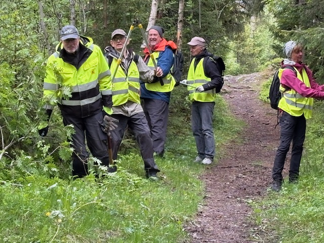 Dugnad langs Pilegrimsleden
